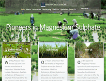 Tablet Screenshot of magproductsindia.com